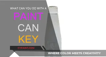 Unlocking Creative Uses: Paint Can Key