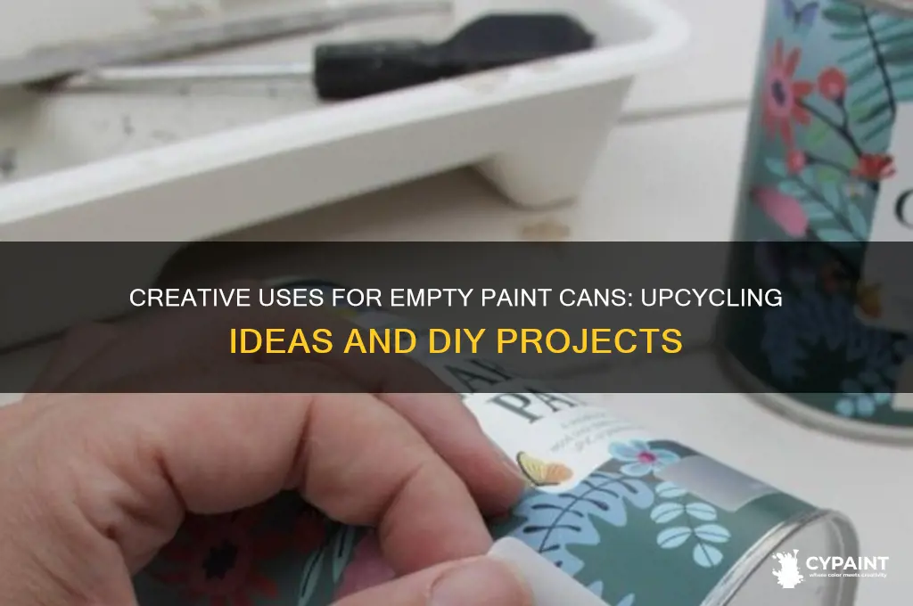 what can you do with empty paint cans