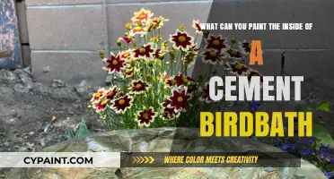 Reviving Your Cement Birdbath: A Guide to Colorful Interior Makeovers