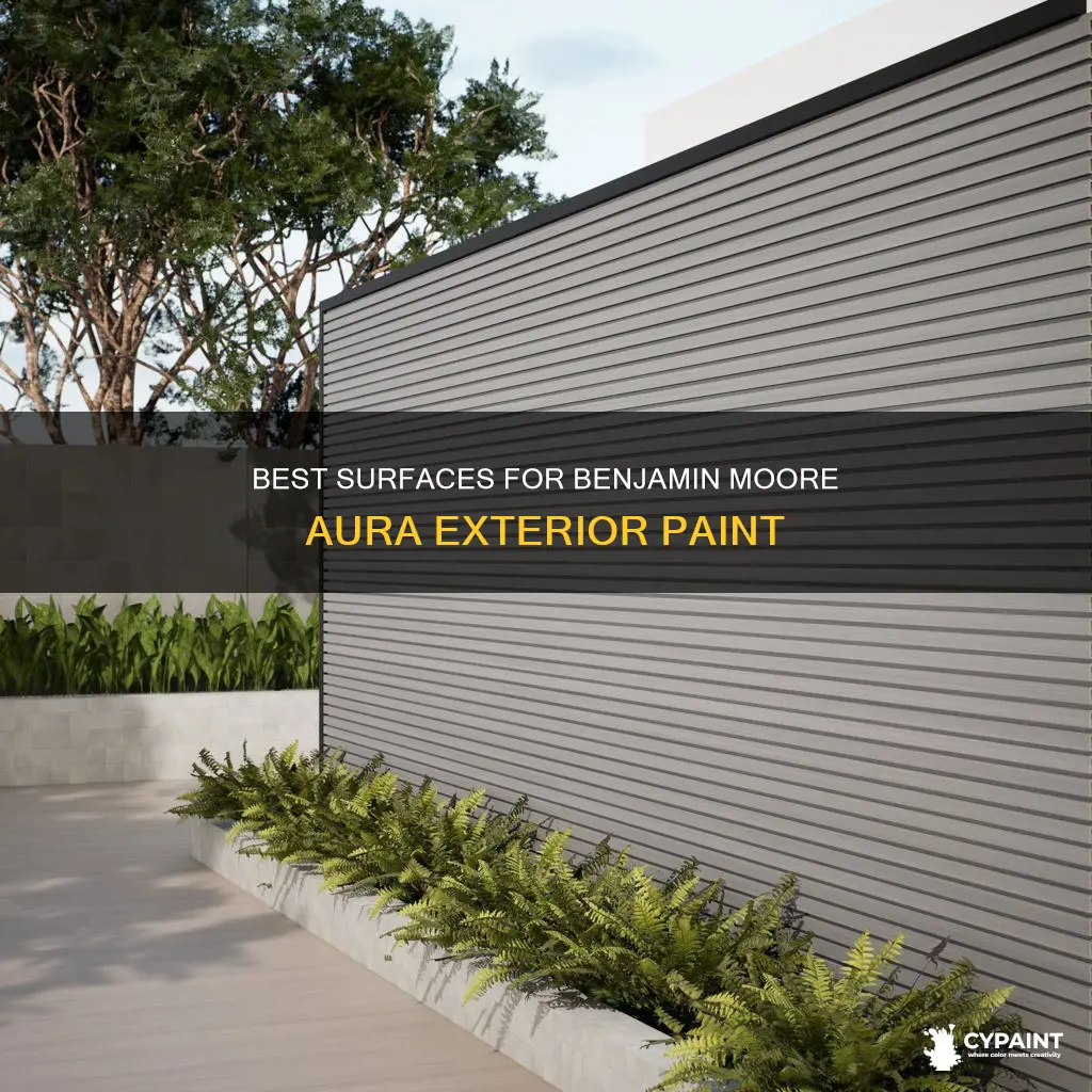 what can you paint with ben moore aura exterior