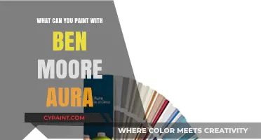 Transform Your Space: Painting Possibilities with Benjamin Moore Aura