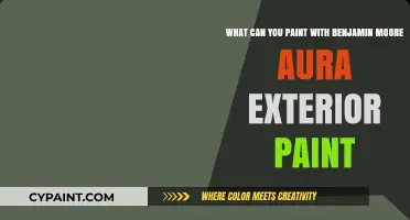 Transform Your Home: Surfaces to Paint with Benjamin Moore Aura Exterior