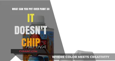 Protect Your Paint: Top Coatings to Prevent Chipping