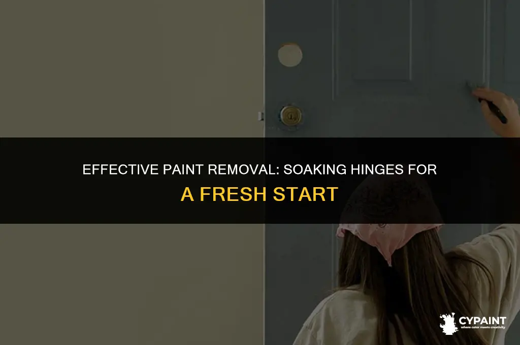 what can you soak hinges in to take off paint