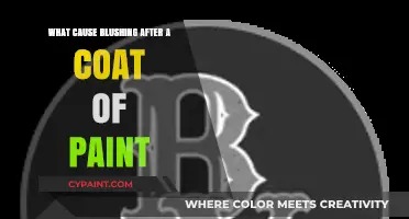 Why Does Paint Cause Blushing? Causes and Solutions Explained