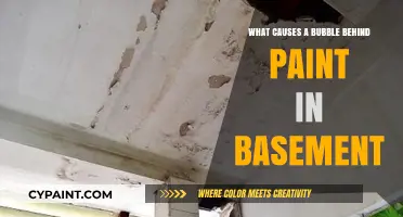 Why Paint Bubbles in Basements: Causes and Prevention Tips