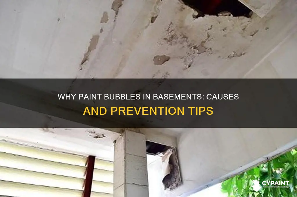 what causes a bubble behind paint in basement