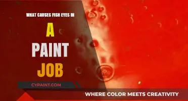 Understanding Fish Eyes: Causes and Solutions for Paint Job Imperfections