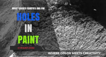Understanding Fisheyes and Pin Holes: Common Causes in Paint Defects