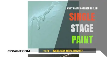 Understanding Orange Peel: Causes in Single-Stage Paint Application