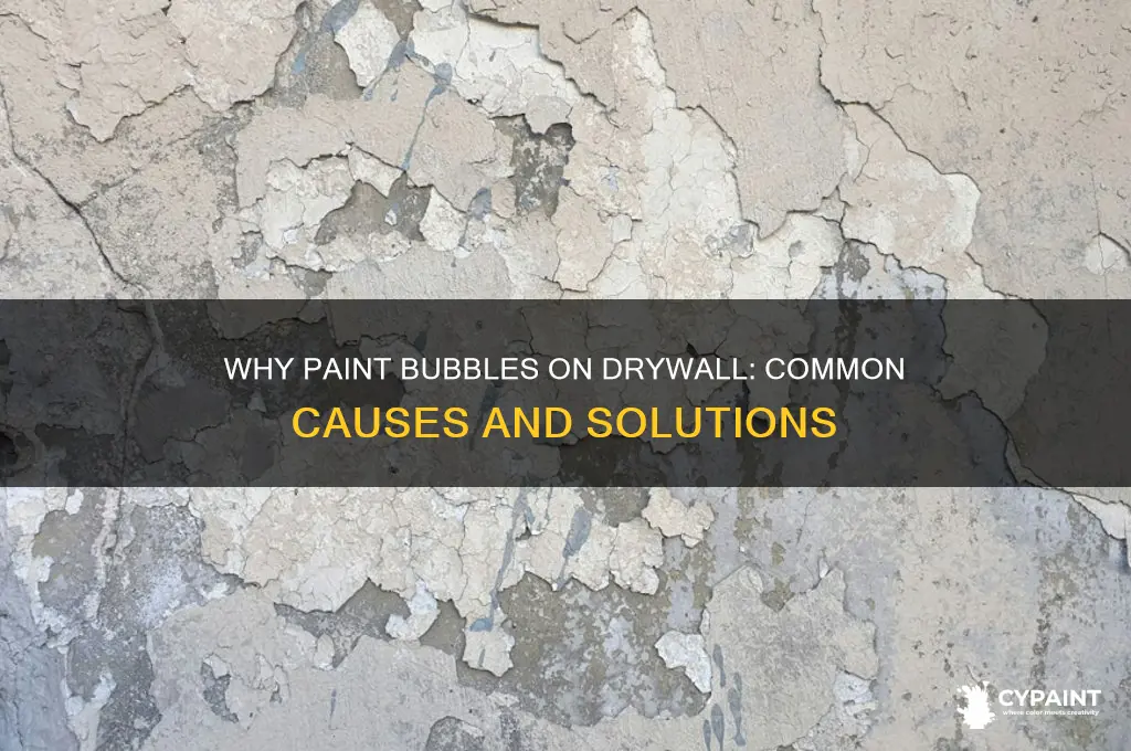 what causes paint to bubbe up on drywall