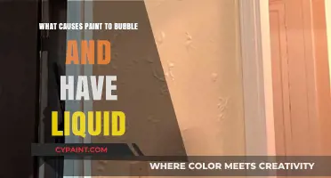 Why Paint Bubbles and Weeps: Causes and Solutions Explained
