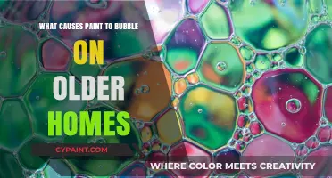 Why Older Homes Develop Paint Bubbles: Common Causes Explained