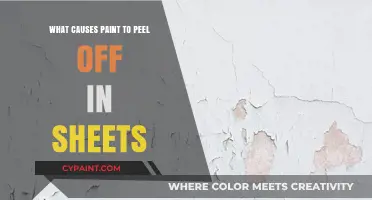 Why Paint Peels in Sheets: Common Causes and Solutions
