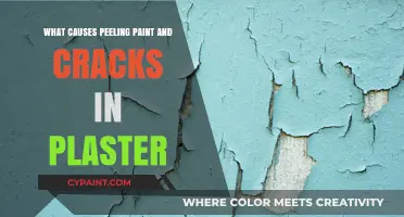Peeling Paint and Cracks in Plaster: Causes and Solutions
