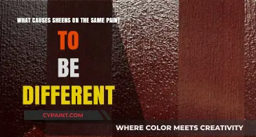 Unveiling the Mystery: Why Sheen Varies on the Same Paint