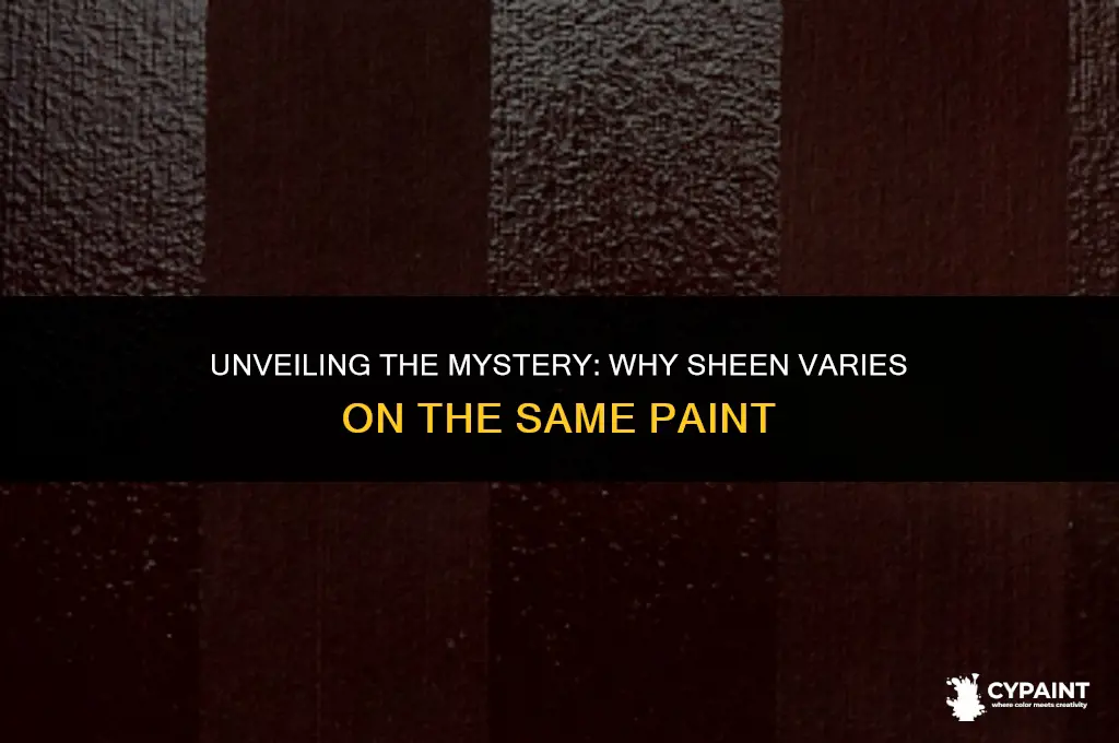 what causes sheens on the same paint to be different