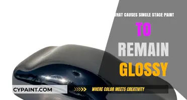 Why Single Stage Paint Maintains Gloss: Key Factors Explained
