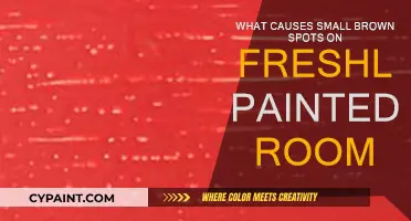 Fresh Paint Woes: Brown Spots Mystery Solved