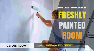 Fresh Paint, Tiny Spots: Uncovering Causes of Room Imperfections