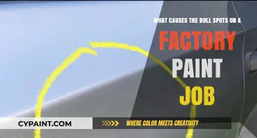 Unveiling the Culprits: What Causes Dull Spots on Factory Paint Jobs?
