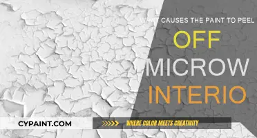 Why Does Microwave Paint Peel?