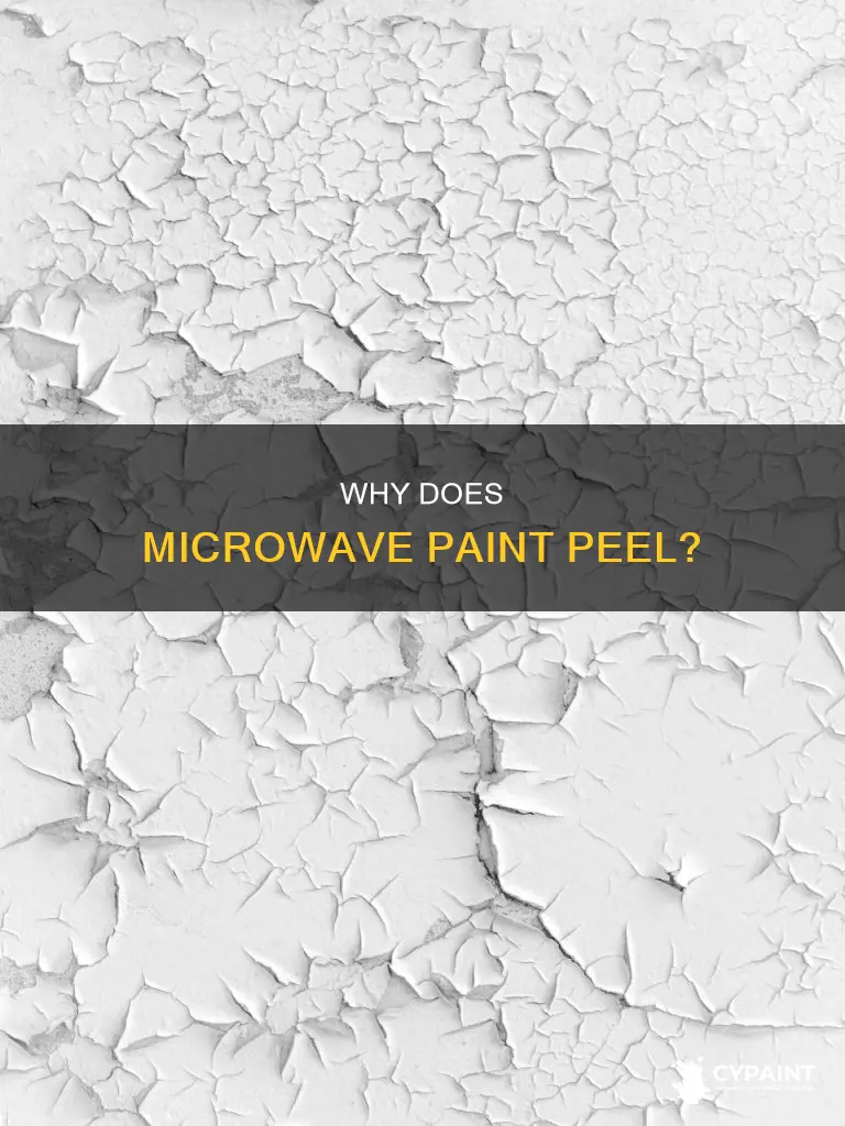 what causes the paint to peel off microwave interior