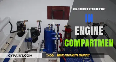 Understanding Engine Compartment Paint Wear: Causes and Prevention Tips