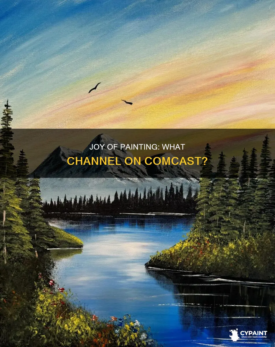 what channel is the joy of painting on comcast