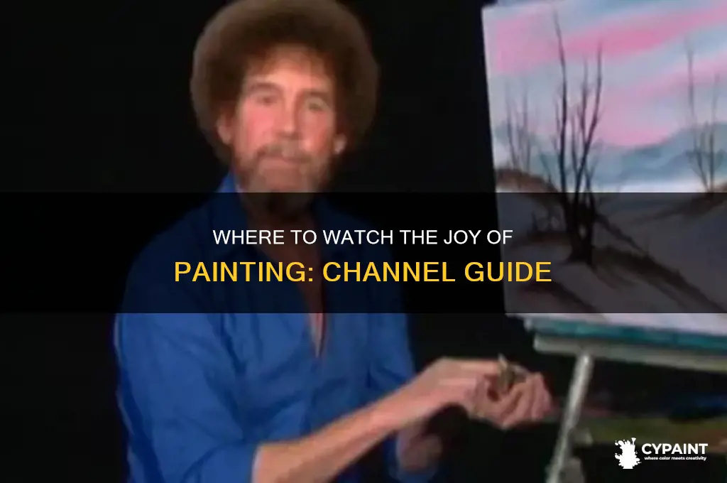 what channel is the joy of painting on