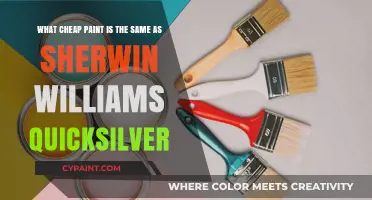 Discover the Affordable Alternative to Sherwin-Williams Quicksilver Paint