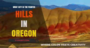 Discovering Oregon's Painted Hills: A Guide to Their City Location
