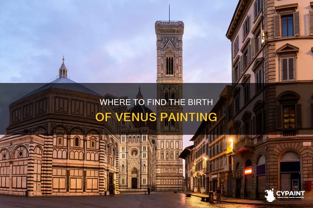 what city is the painting birth of venus in