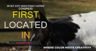 History of Paint Horse Congress: Where It All Began