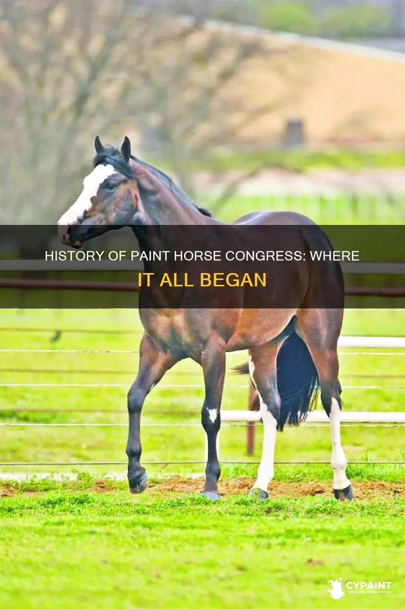 what city was paint horse congress first located in