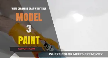 Best Cleaners for Tesla Model 3 Paint Protection and Care