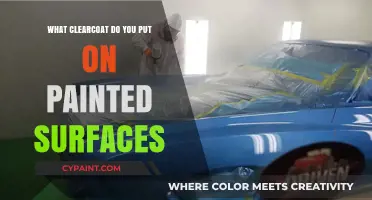 Best Clearcoat Options for Protecting and Enhancing Painted Surfaces