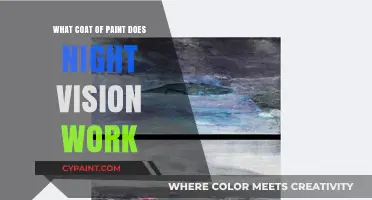 How Night Vision Technology Interacts with Different Paint Coatings