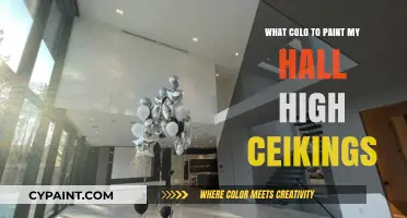 Elevate Your Hall: Best Paint Colors for High Ceilings