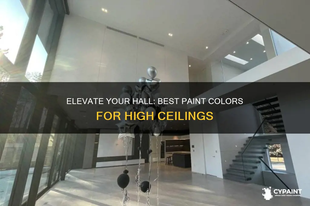 what colo to paint my hall high ceikings