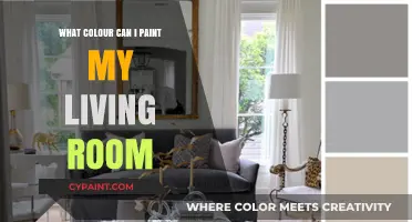 Choosing the Perfect Living Room Paint Color: Tips and Ideas
