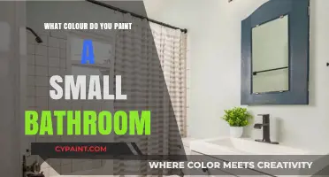 Small Bathroom, Big Impact: Choosing the Perfect Paint Color