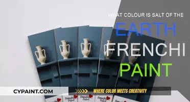 Frenchic Paint: Salt of the Earth's Colour