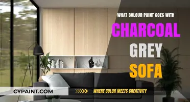 Perfect Paint Colors to Complement Your Charcoal Grey Sofa in Style