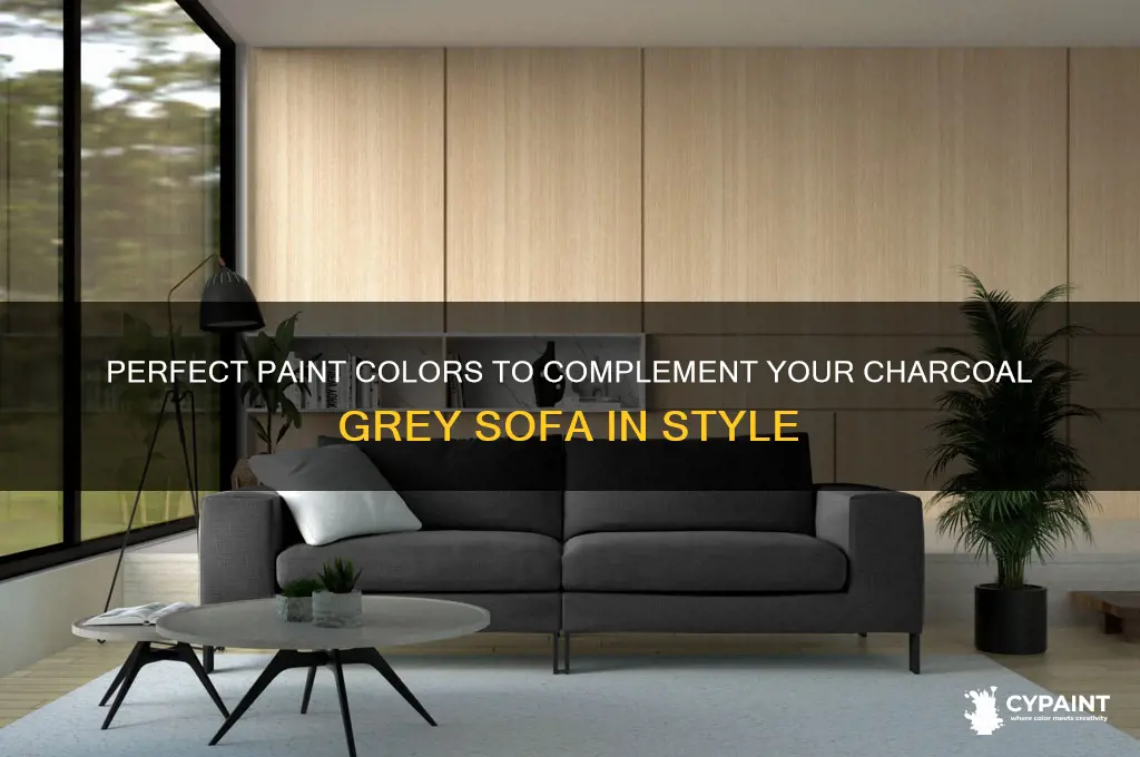 what colour paint goes with charcoal grey sofa