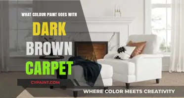 Perfect Paint Colors to Complement Your Dark Brown Carpet Elegantly
