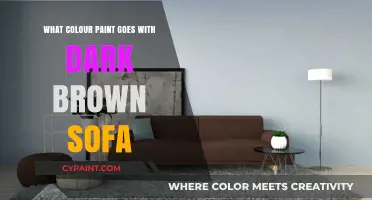 Perfect Paint Colors to Complement Your Dark Brown Sofa in Style