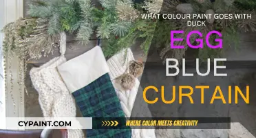 Complementary Paint Colors for Duck Egg Blue Curtains
