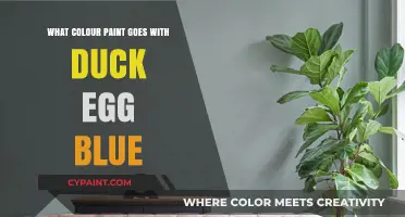 Perfect Paint Pairings: Complementary Colors for Duck Egg Blue Walls