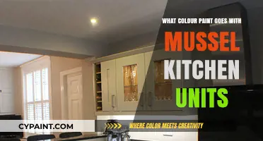 Perfect Paint Colors to Complement Mussel Kitchen Units: A Stylish Guide